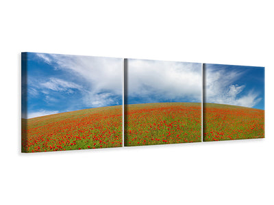 panoramic-3-piece-canvas-print-red-poppies