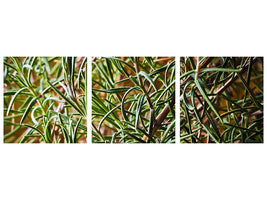 panoramic-3-piece-canvas-print-rosemary-xxl