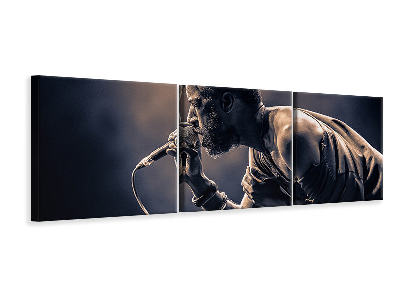 panoramic-3-piece-canvas-print-saul-williams