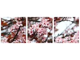 panoramic-3-piece-canvas-print-spring-is-here