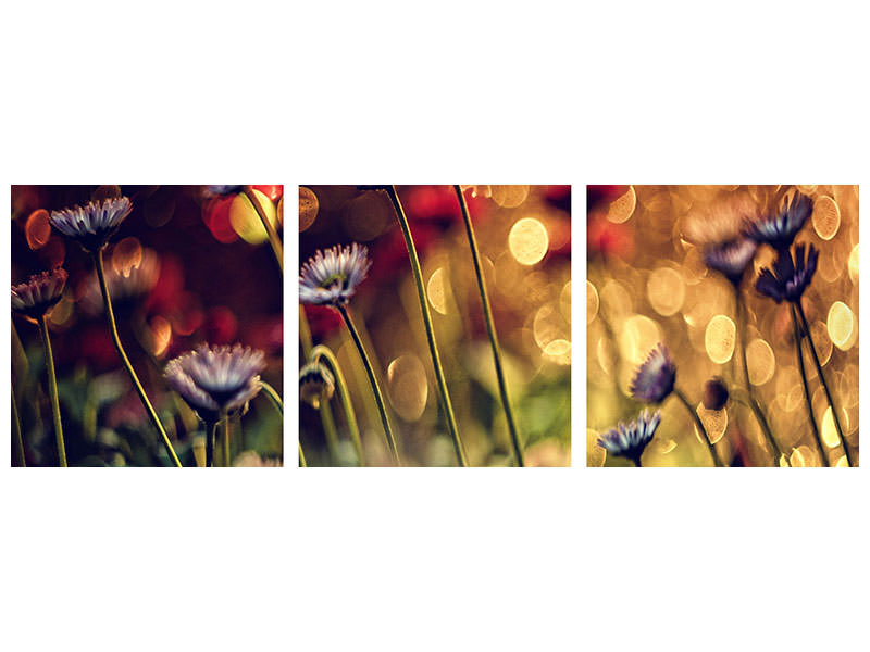 panoramic-3-piece-canvas-print-summer-flowers