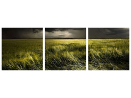 panoramic-3-piece-canvas-print-summer-weather