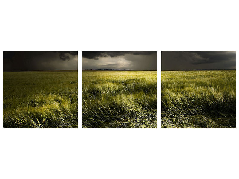 panoramic-3-piece-canvas-print-summer-weather