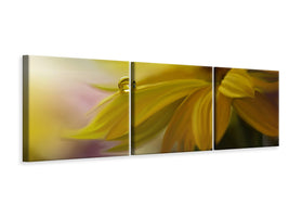 panoramic-3-piece-canvas-print-sunbeam