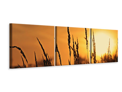 panoramic-3-piece-canvas-print-sunrise-on-the-field