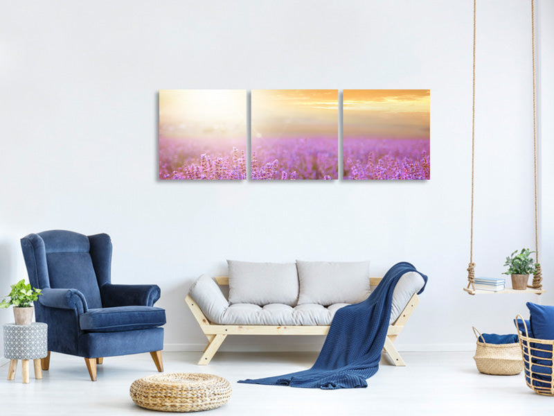 panoramic-3-piece-canvas-print-sunset-in-lavender-field