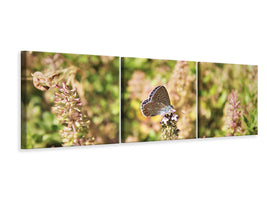 panoramic-3-piece-canvas-print-the-blue