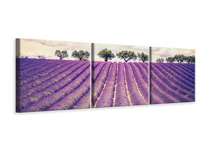 panoramic-3-piece-canvas-print-the-lavender-field-ii