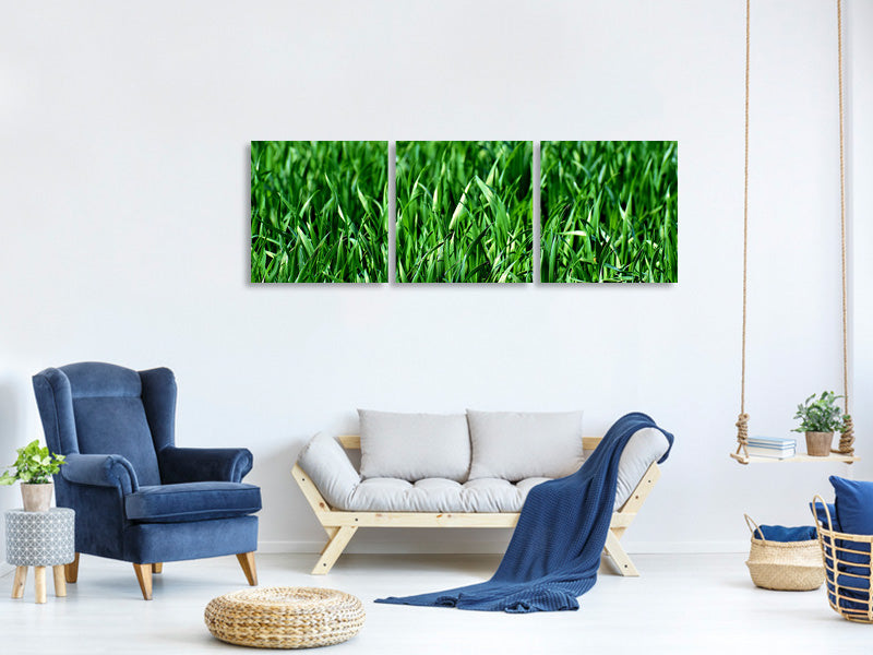 panoramic-3-piece-canvas-print-the-meadow-in-xl