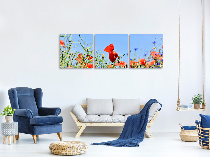 panoramic-3-piece-canvas-print-the-poppy-in-the-flower-meadow