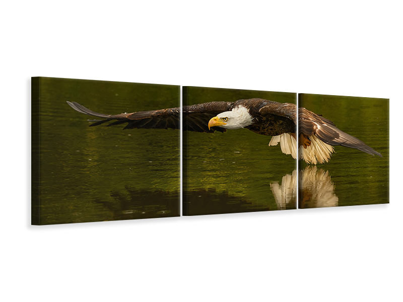 panoramic-3-piece-canvas-print-the-reflective-pond