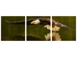 panoramic-3-piece-canvas-print-the-reflective-pond