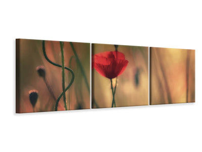 panoramic-3-piece-canvas-print-untitled-xxviii