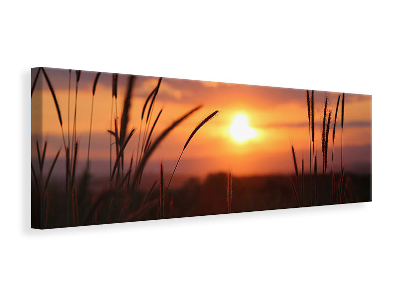 panoramic-canvas-print-adorable-sunset