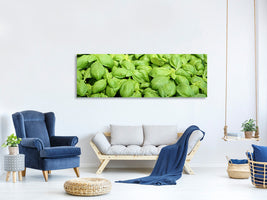 panoramic-canvas-print-all-basil