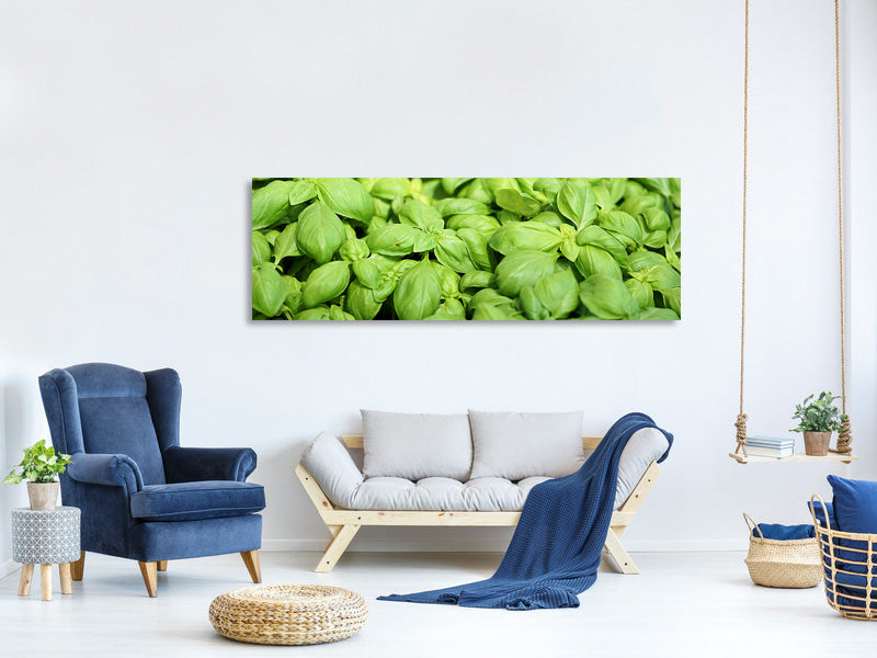 panoramic-canvas-print-all-basil