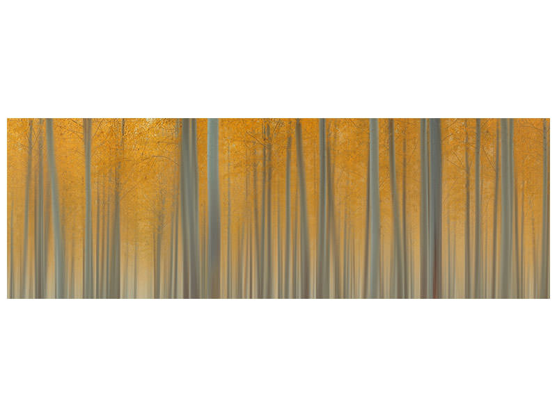 panoramic-canvas-print-autumn-delight-ii