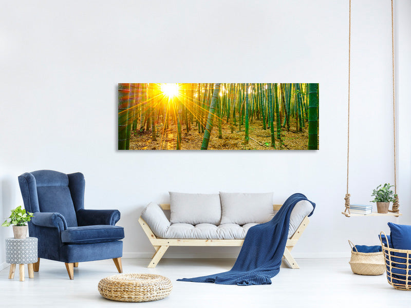 panoramic-canvas-print-bamboos