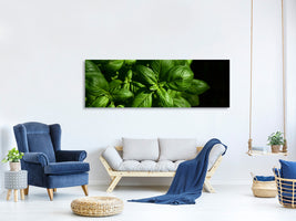 panoramic-canvas-print-basil-in-xl