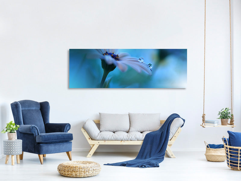 panoramic-canvas-print-beyond-the-visible