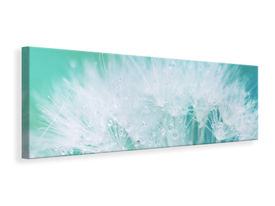 panoramic-canvas-print-close-up-dandelion-in-morning-dew