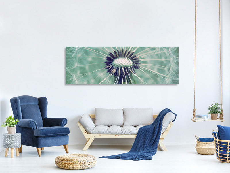 panoramic-canvas-print-close-up-dandelion