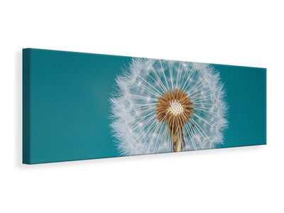 panoramic-canvas-print-dandelion-a