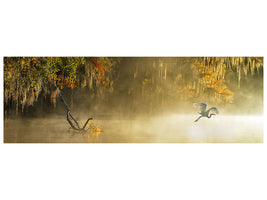 panoramic-canvas-print-egret