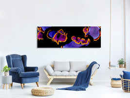 panoramic-canvas-print-flamenco