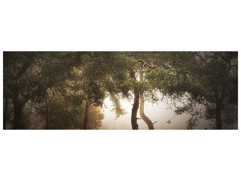 panoramic-canvas-print-foggy-memory-of-the-past-iii