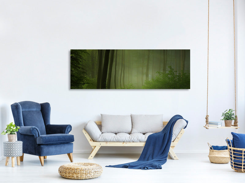 panoramic-canvas-print-forest-morning