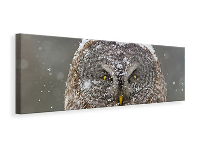 panoramic-canvas-print-great-grey-owl-winter-portrait