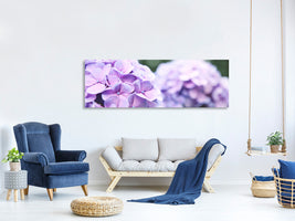 panoramic-canvas-print-hydrangeas