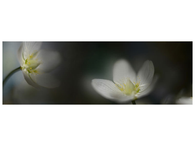 panoramic-canvas-print-light-in-the-darkness