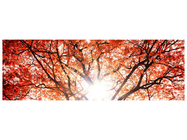 panoramic-canvas-print-light-of-autumn