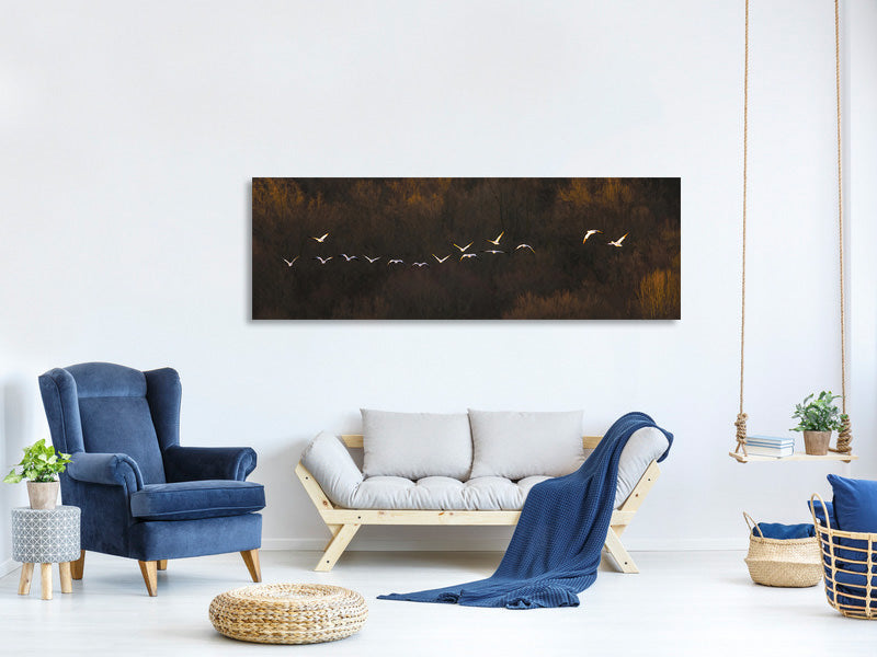 panoramic-canvas-print-morning-mood