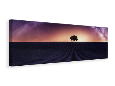 panoramic-canvas-print-my-lavander