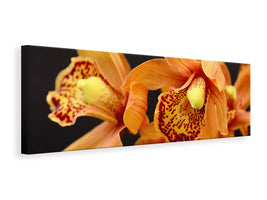 panoramic-canvas-print-orchids-with-orange-flowers