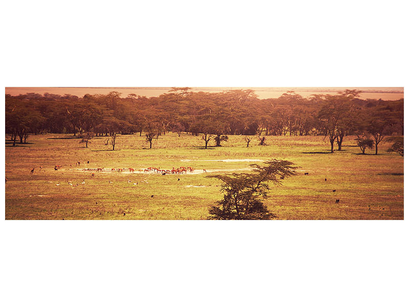 panoramic-canvas-print-picturesque-africa