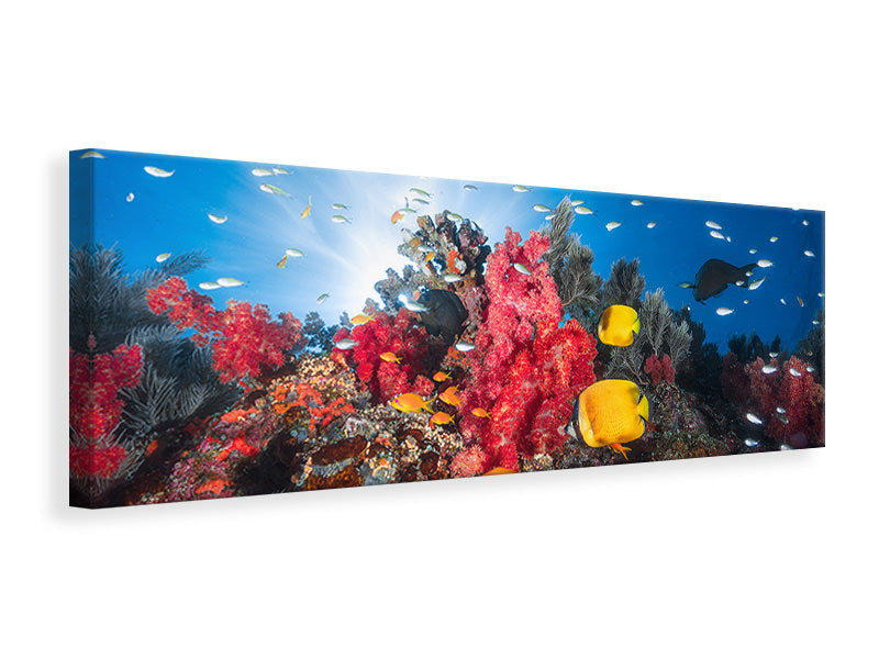 panoramic-canvas-print-reef-life