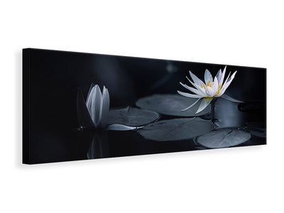 panoramic-canvas-print-reflection-iv