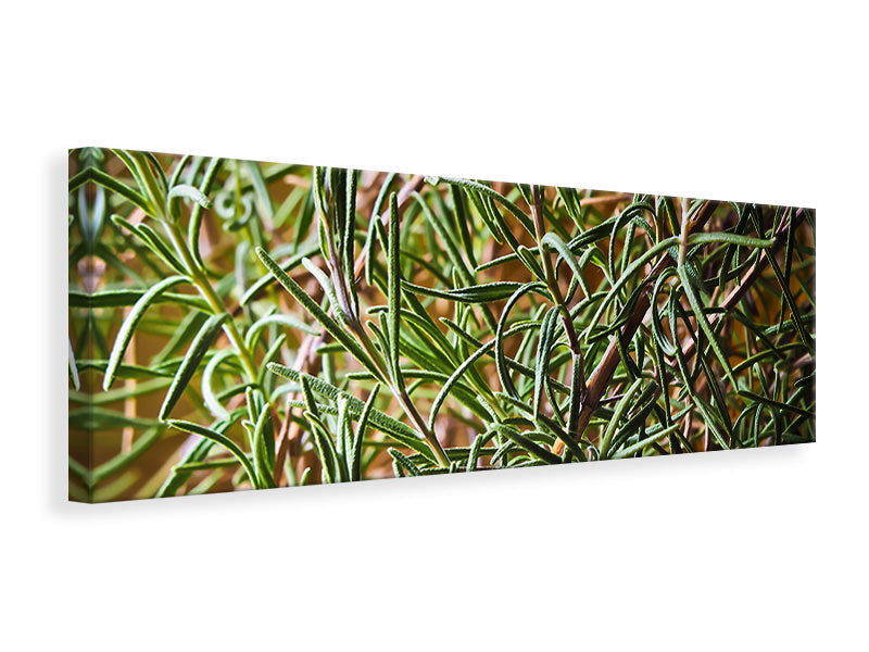 panoramic-canvas-print-rosemary-xxl