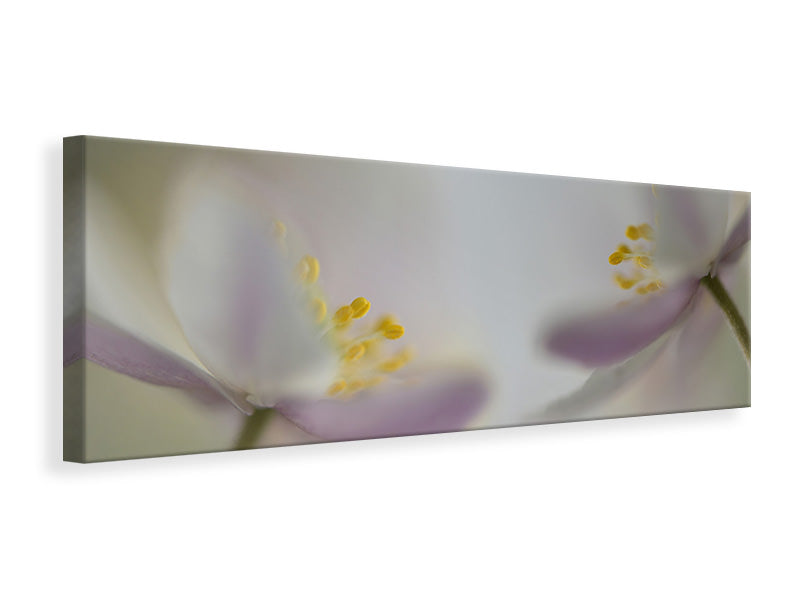 panoramic-canvas-print-soft-whispering