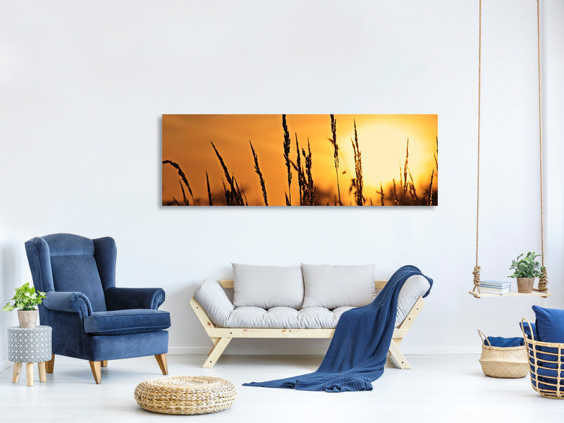 panoramic-canvas-print-sunrise-on-the-field