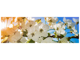 panoramic-canvas-print-the-apple-tree-blossom