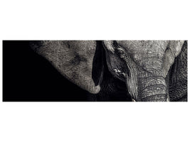 panoramic-canvas-print-the-matriarch