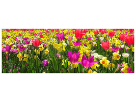 panoramic-canvas-print-the-spring-awakening