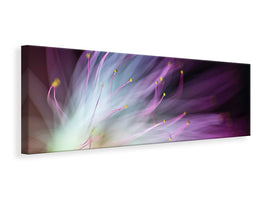 panoramic-canvas-print-the-will-o-the-wisp