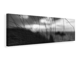 panoramic-canvas-print-the-wind-brings-the-night