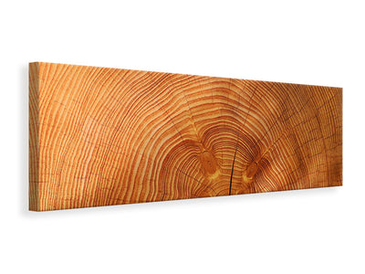 panoramic-canvas-print-tree-rings